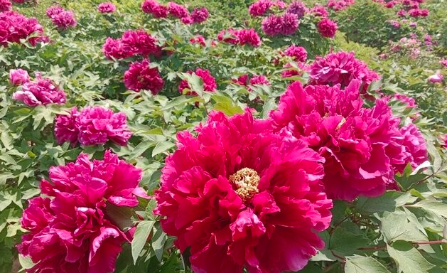 1775990399152506.png 微信图片_2026-04-12_183501_258.png